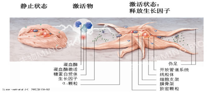 梅州铁炉桥医院4.jpg