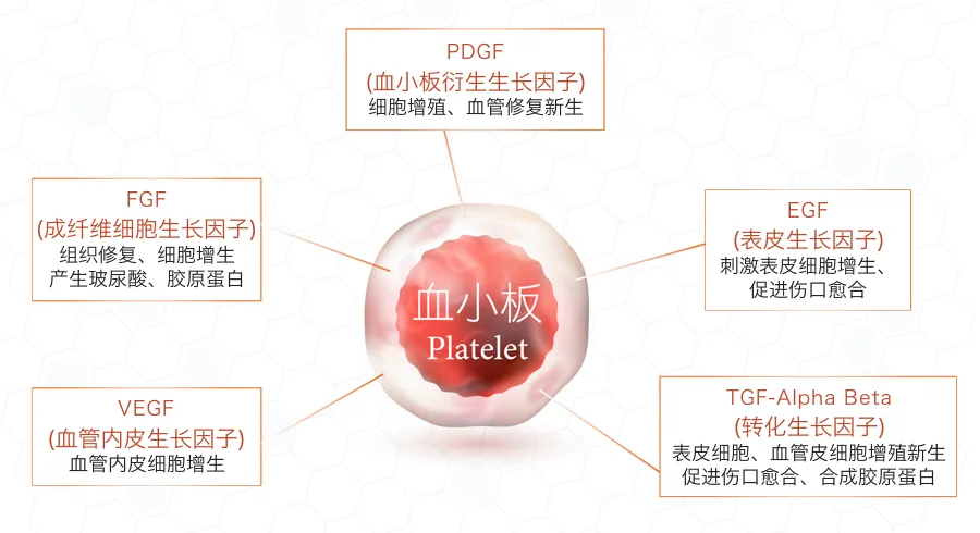 富血小板血浆PRP在运动医学运用及注意事项.jpg